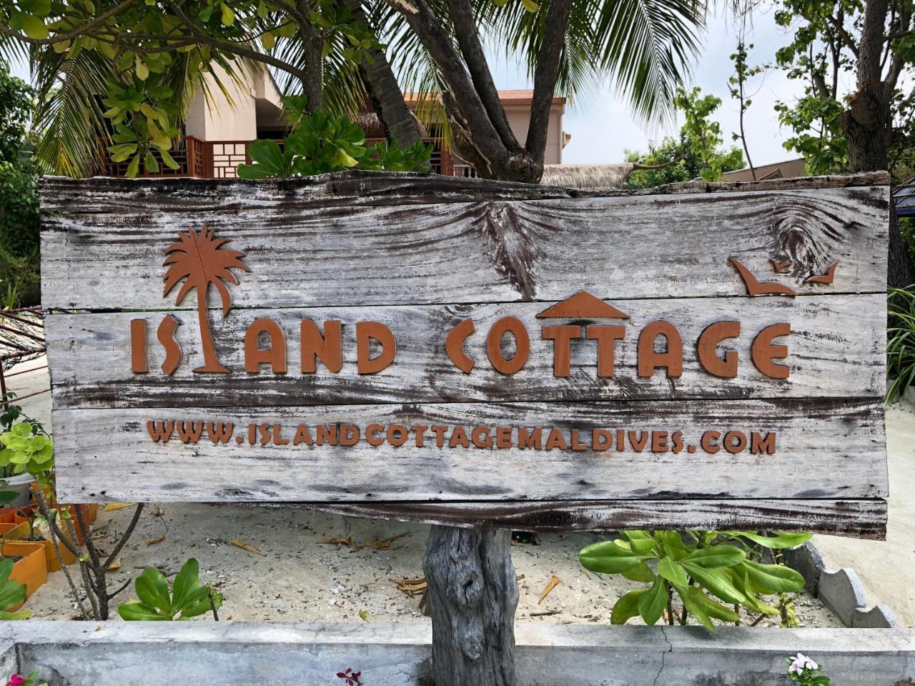 Island Cottage Maafushi Exteriér fotografie